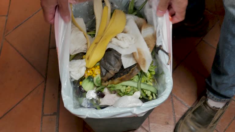 Reliable Crump, TN Junk Removal Services Solutions